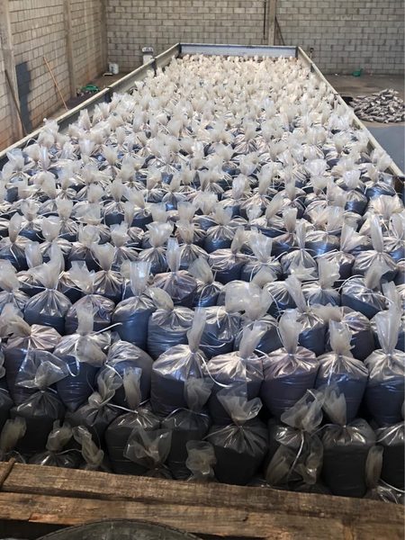 Carga de sacos de granalha de aço na carroceria do caminhão, pronta para entrega